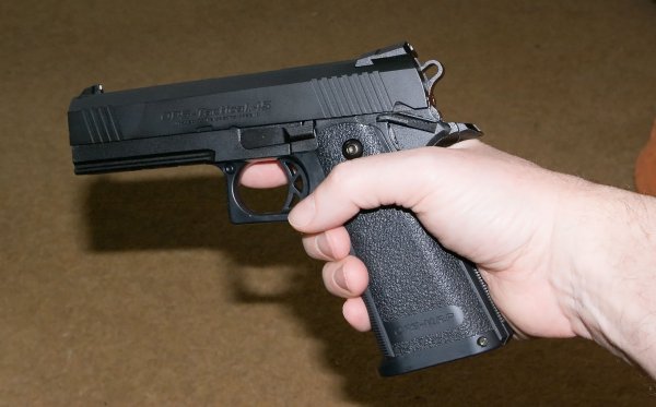 About the same size as TM's own SIG P226
